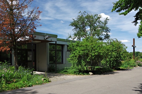 Image 6